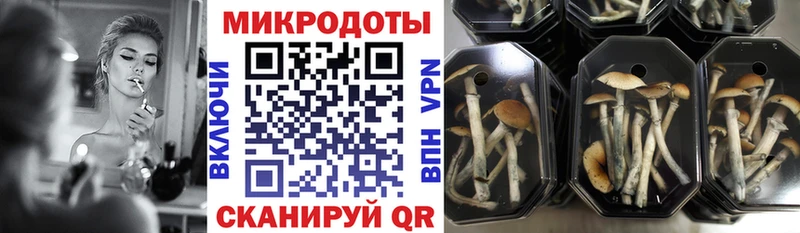 Псилоцибиновые грибы мицелий  закладка  Урай 